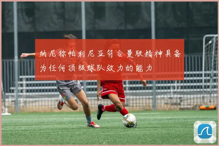 纳尼称帕利尼亚符合曼联精神具备为任何顶级球队效力的能力
