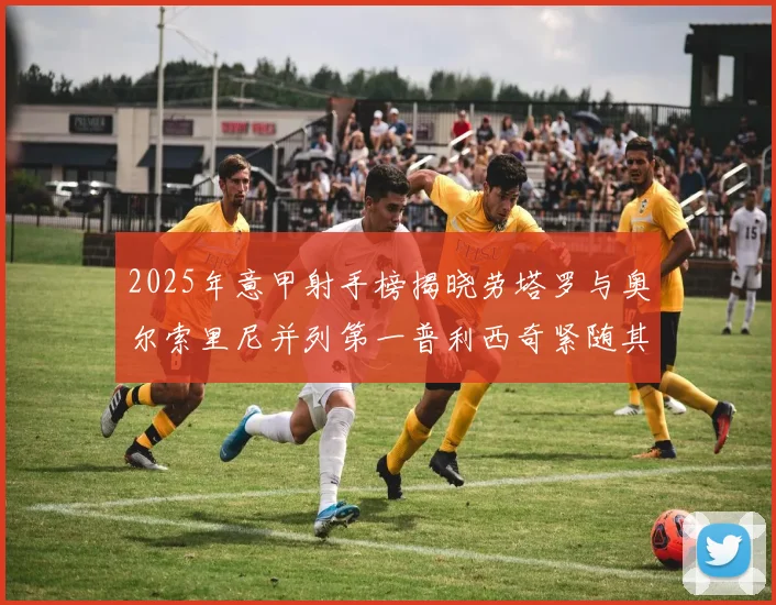 2025年意甲射手榜揭晓劳塔罗与奥尔索里尼并列第一普利西奇紧随其后
