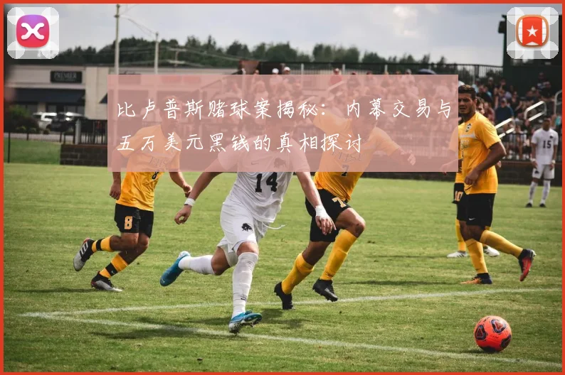 比卢普斯赌球案揭秘：内幕交易与五万美元黑钱的真相探讨