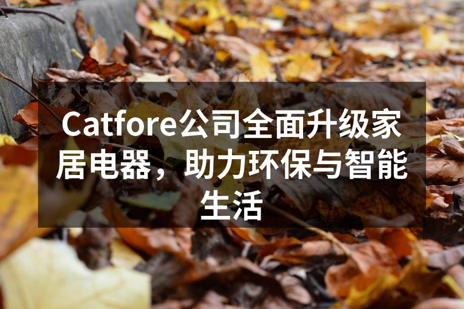 Catfore新产品发布会现场